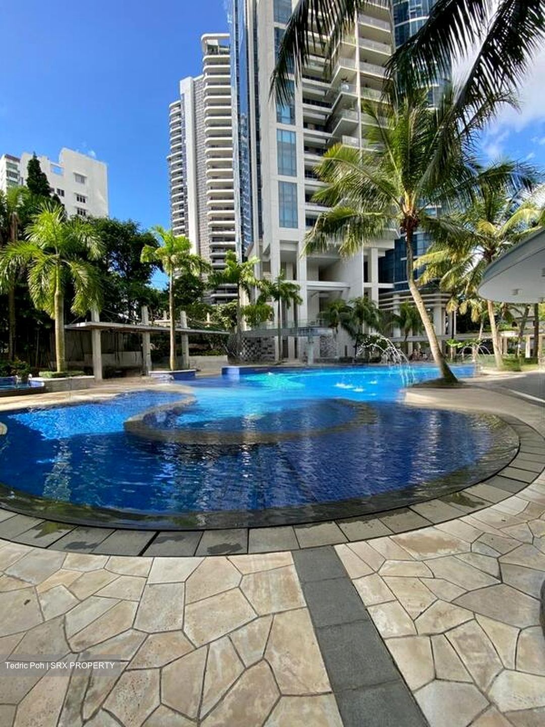 Grove Lane (D10), Condominium #439537421